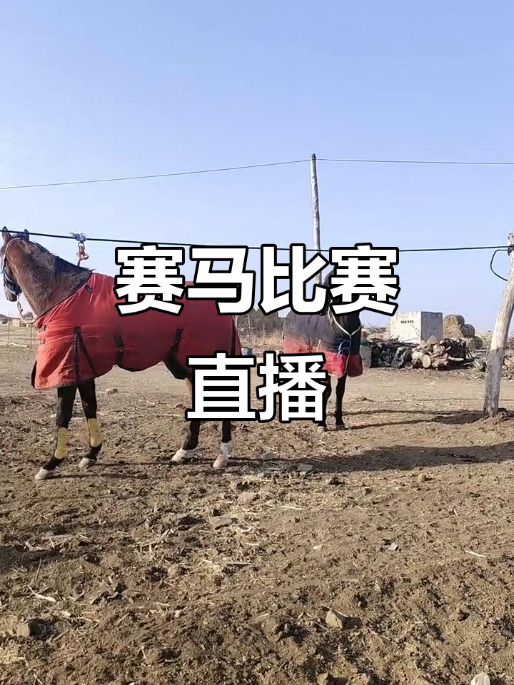 九游登录中心-包含【赛事播报】直播全程解说，精彩不容错过的词条