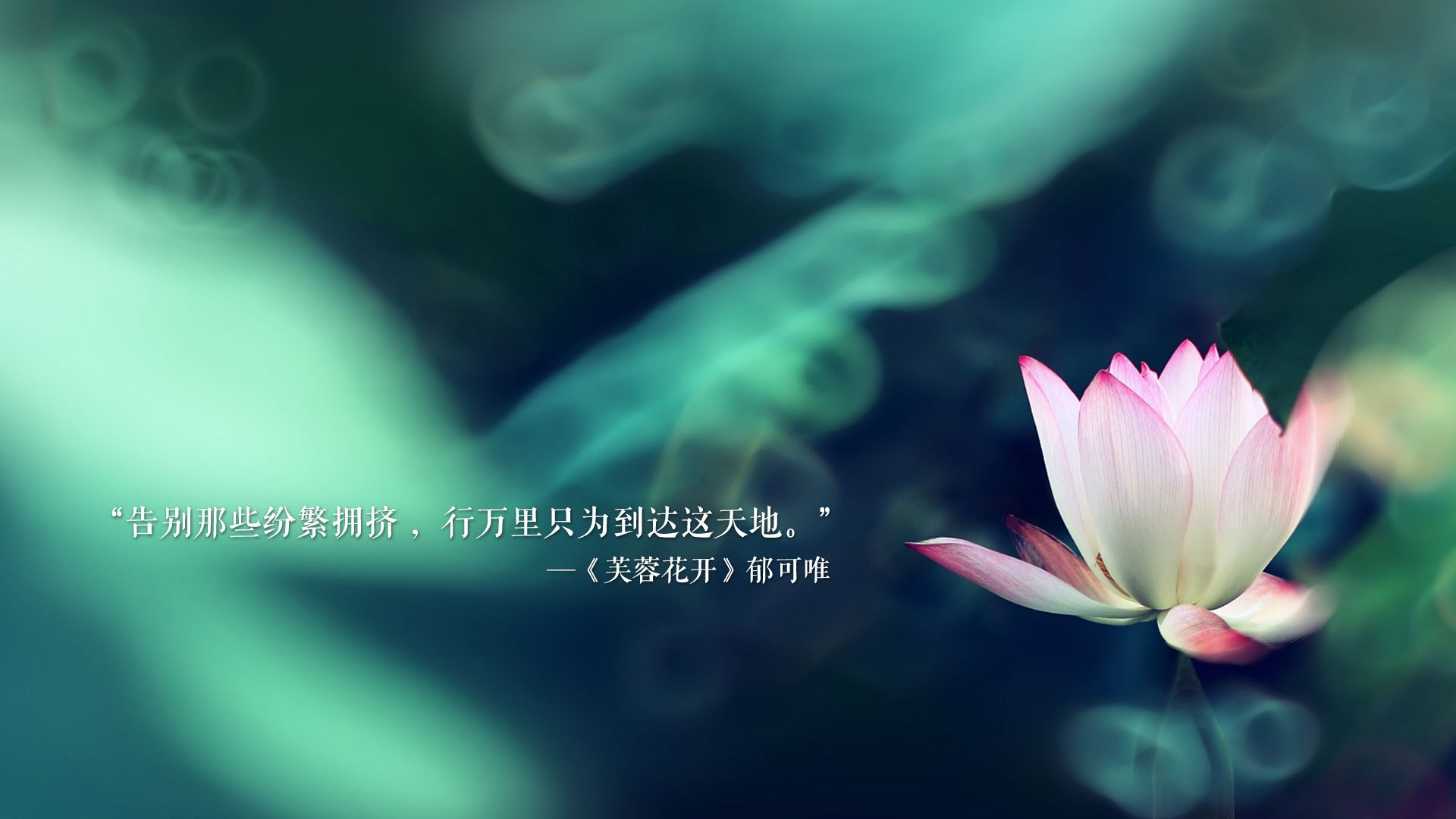 青少年“篮球+艺术”融合盛典在杭州盛大举办，激发创意激情，青少年篮球职业联赛
