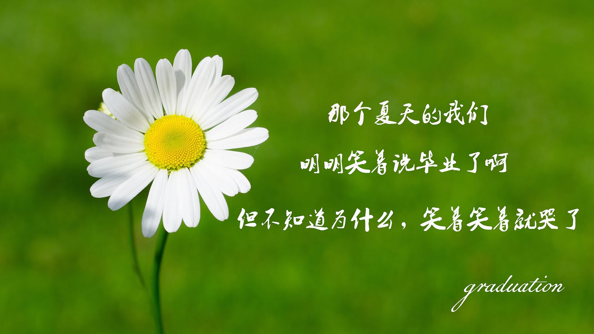 九游(jiuyou)官方网站-阿根廷对阵智利激战，复仇赛意味浓厚，阿根廷vs智利首发阵容