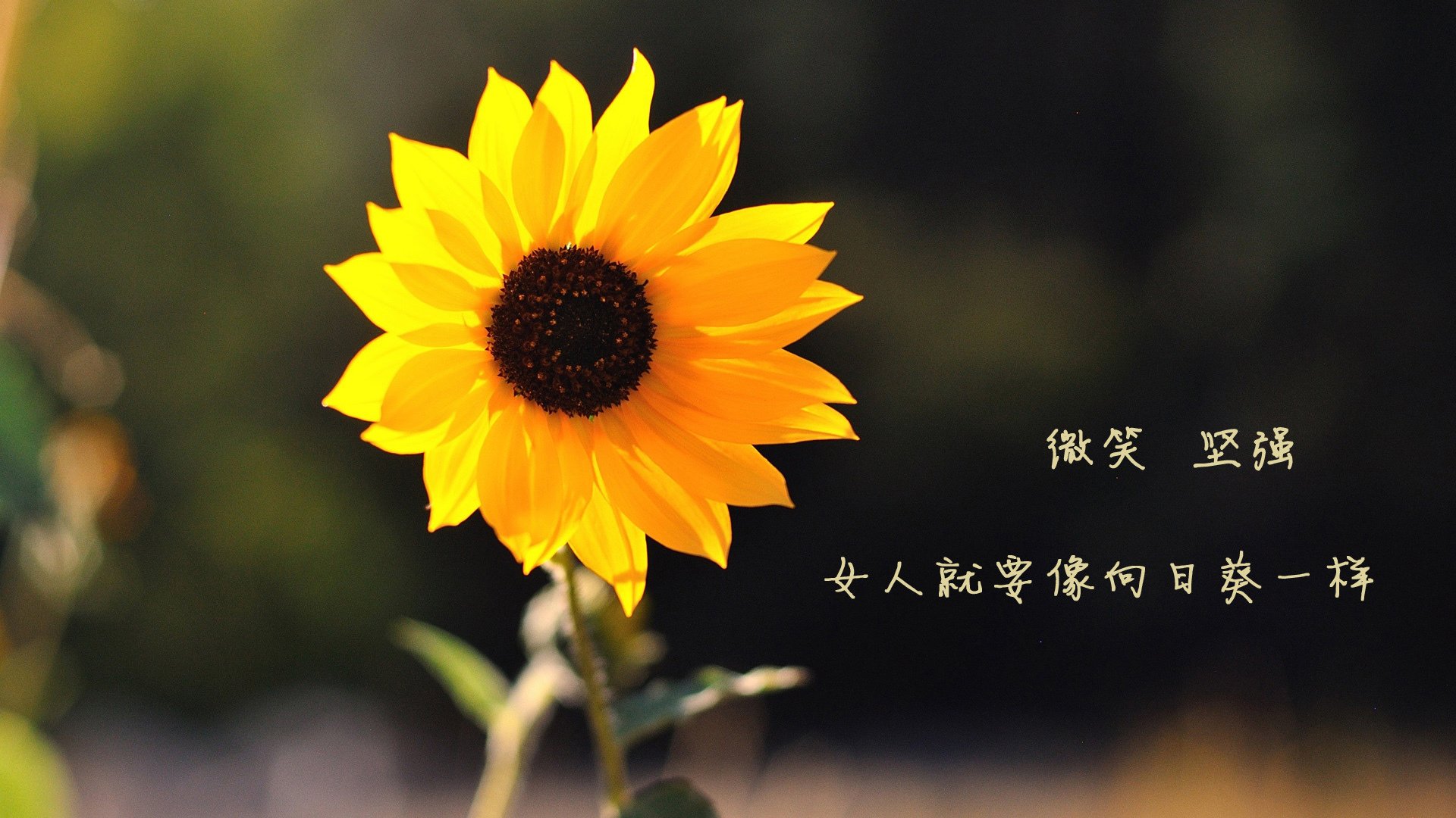 球队在节奏混乱中是否更需依赖经验型球员，球队在节奏混乱中是否更需依赖经验型球员
